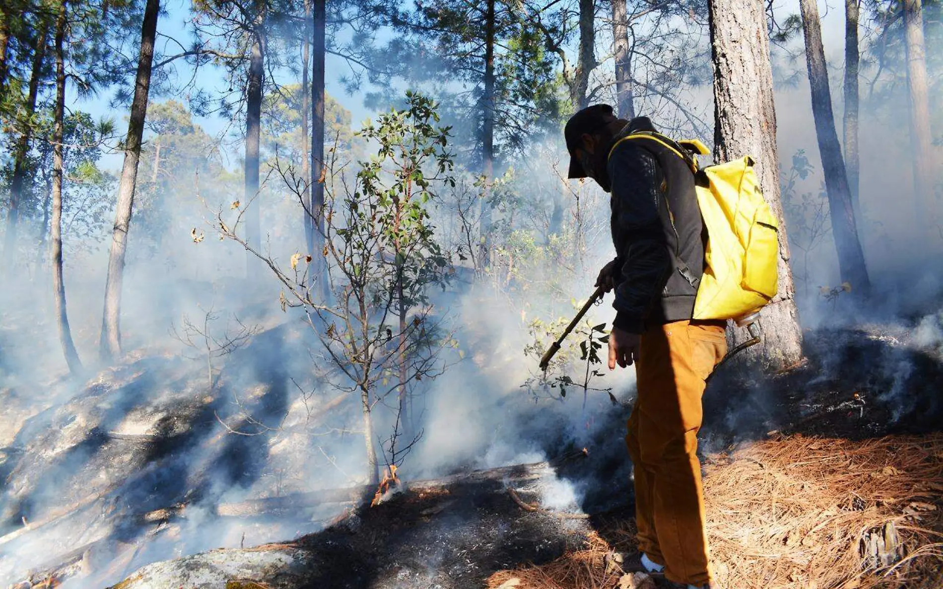 incendio en la sierra 2